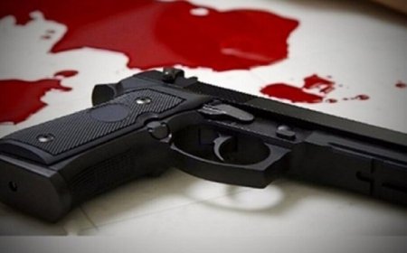 علت قتل‌عام خانوادگی وکیل تهرانی مشخص شد