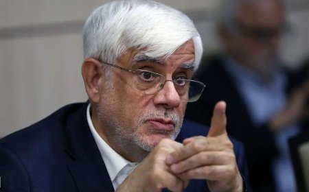 عارف: راهبرد دولت این است دنبال نخود سیاه نرود