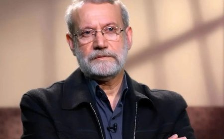 لاریجانی: آقایان شورای نگهبان گفتند مدیر و مدبّر نیستم