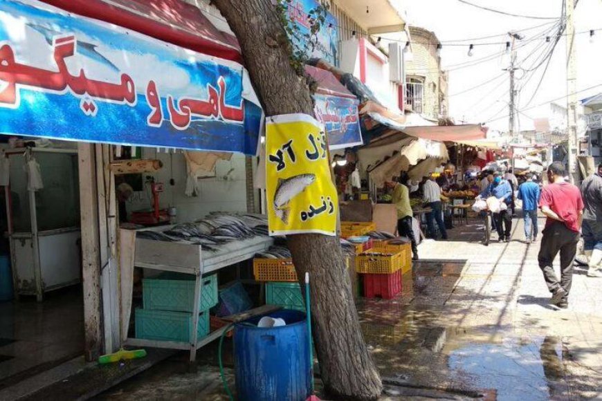ساماندهی وضعیت دروازه کازرون؛ شاید وقتی دیگر