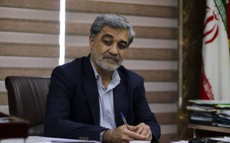 با همکاری خیرین استان تا کنون حدود 11 پروژه آبخیزداری اجرا شده است