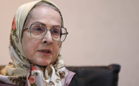 الهه کولایی استاد دانشگاه تهران:  در برخی قوانین، زنان به عنوان ابزار تولیدمثل در نظر گرفته شده‌اند