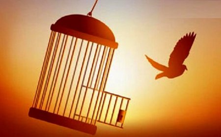 2 محکوم به قصاص در بم از اعدام جستند / ۱۶۰ حافظ قرآن در زندان‌های کرمان