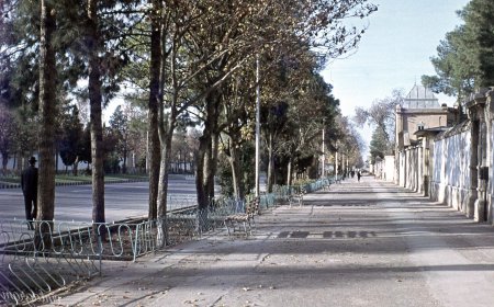 چرا اموال و املاک دولتی متروکه در شیراز تعیین تکلیف نمی شوند؟