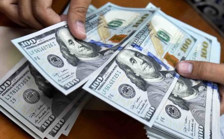 پیش‌بینی دلالان درباره کاهش نرخ دلار