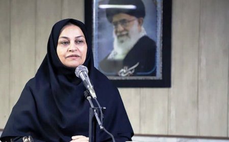 مدیر کل محیط زیست فارس: دستیابی به توسعه پایدار یک هدف مشترک /  نمی شود و نمی توانیم نداریم