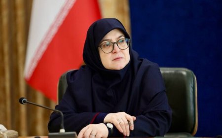 مهاجرانی: هرجا لازم باشد مذاکره و هرجا لازم باشد «وعده صادق» را عملی می‌کنیم