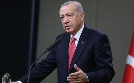 سخنان معنادار اردوغان درباره سرنگونی رژیم اسد؛ حلب و شام می توانست برای ترکیه باشد
