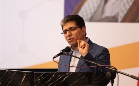 محمدرضا سعیدی مدیرعامل شرکت سرمایه‌گذاری تامین اجتماعی شد