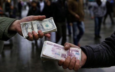 سقوط ریال در سکوت مسئولان/ وعده همتی پوچ از آب درآمد!