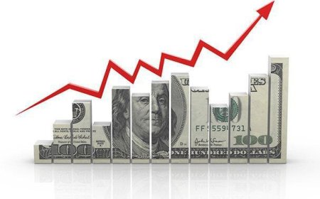 دولت افزایش نرخ تورم و ارز را مهار کند