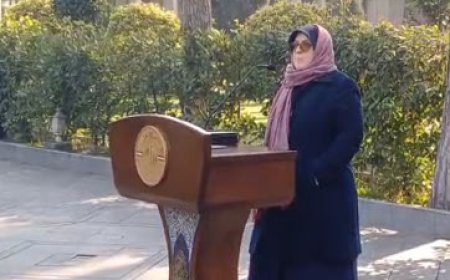 توضیحات سخنگوی دولت درباره پشت پرده نوسانات قیمت ارز/ نرخ رسمی ارز ۶۰ هزار تومان است