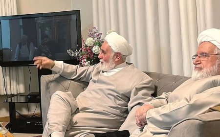 عباس عبدی: دیدار کروبی و ناطق نوری و صله دیرهنگام سلطان محمود