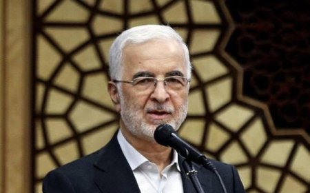 مومنی: گواهی ولادت از امروز الکترونیکی شد