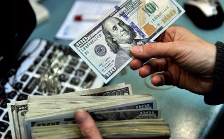 احتمال ریزش مجدد قیمت دلار؛ تاثیر عوامل سیاسی بر نوسانات ارزی