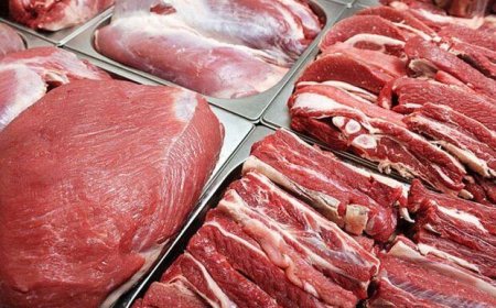 آغاز توزیع گوشت قرمز رایگان دولتی / شرایط دریافت اعلام شد