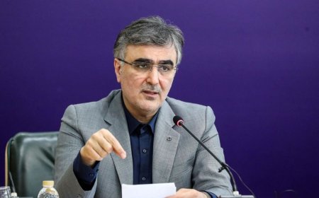 فرزین:  نرخ دلار بازار ایران را یک سایت آمریکایی تعیین می‌کند