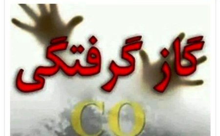 مسمومیت ۱۱ نفر از دو خانواده بر اثر گاز گرفتگی در زرین دشت