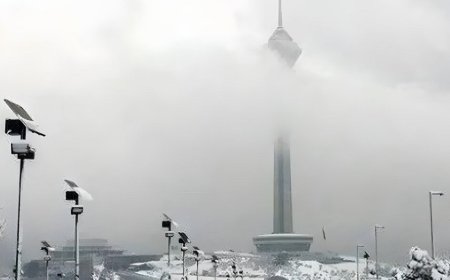 ببینید| بارش برف در تهران/ امروز 11 دی