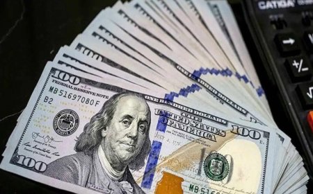 تا یکسال آینده دلار چند؟