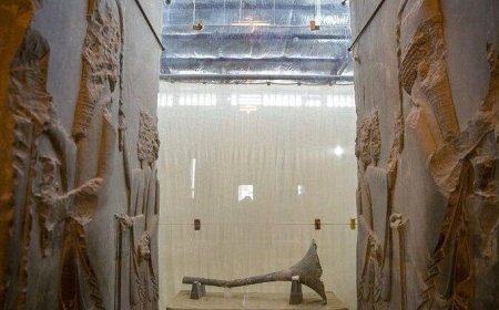 باز طراحی موزه جهانی تخت جمشید آغاز شد