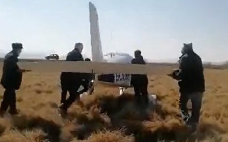 برخورد پرنده به ملخ هواپیمای شخصی خسارت جانی در پی نداشت