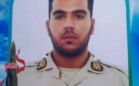 علت شهادت یک مرزبان در کردستان یخ زدگی‌نبود
