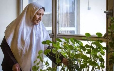 طرح توانمندسازی زنان سالمند تنها تدوین شد/ ۲۴ برابر شدن سالمندان تا سال ۱۴۳۵