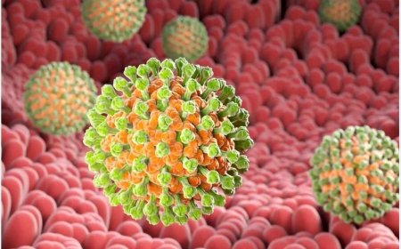 «متاپنومو ویروس»؛ از اقدامات پیشگیرانه تا علائم