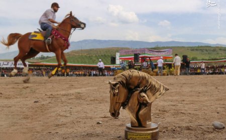جشنواره کشوری اسب‌های اصیل ایرانی در دشتستان بوشهر