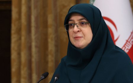 سخنگوی دولت:‌ ارائه یک الگو موفق از زنان در عرصه جهانی را دنبال می‌کنیم