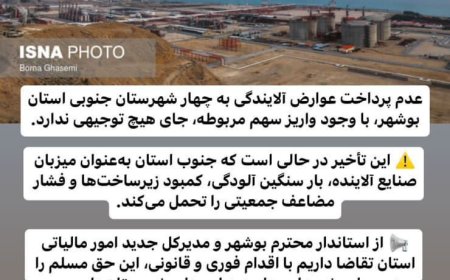 واکنش نایب رئیس شورای شهر جم به عدم پرداخت عوارض آلایندگی به چهار شهرستان جنوبی استان بوشهر
