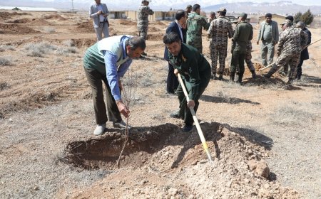پویش پدرانه نهال‌کاری در چهارمحال و بختیاری برگزار شد