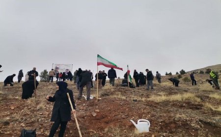 کاشت   ۱۷  هزار اصله نهال و بذر در عرصه‌های منابع طبیعی فارس به نام پدر