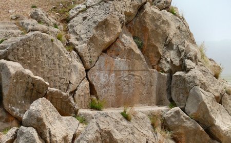 مدیرکل میراث فرهنگی: فارس به کارگاه مرمت نقش برجسته‌های باستانی تبدیل شده است