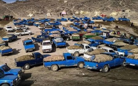 "هفت دست‌انداز" در انتظار قاچاقچیان سوخت کرمان و هرمزگان