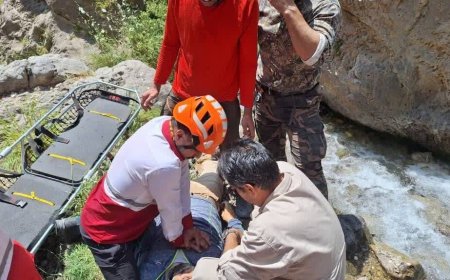 سه کوهنورد مصدوم در تنگستان بوشهر نجات یافتند