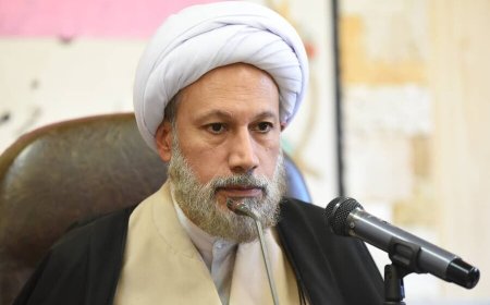 امام جمعه شیراز : باید مراسم سنتی تعزیه شاهچراغ (ع) را احیا و تقویت کرد