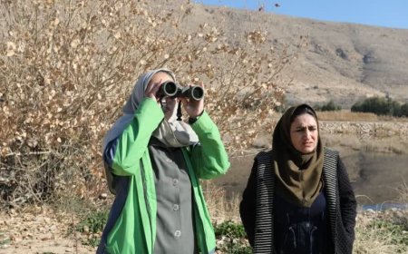 آغاز سرشماری نیمه زمستانه پرندگان آبچر و کنار آبچر در استان فارس 