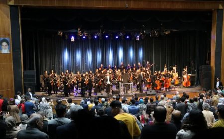 معاون هنری ارشاد فارس: آثار فاخر هنرمندان موسیقی حمایت می‌شود
