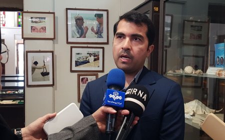 کارگروه اثرگذاری دانش برای پژوهش‌های کاربردی در دانشگاه پزشکی بوشهر ایجاد شد