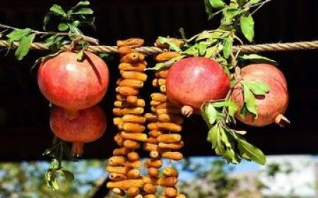 ببینید|  برگزاری آیین  گشایش هفتمین نمایشگاه تخصصی  خرما -انجیر- انار  در شیراز