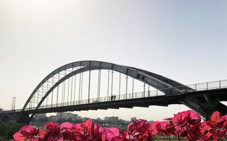 فرش قرمز اهواز برای حضور سرمایه‌گذاران/ ارائه ٢٠ بسته سرمایه‌گذاری در ظرفیت‌های شهری