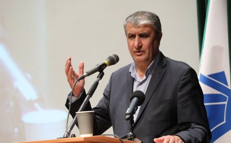 صرفه‌جویی ۸ میلیارد دلاری نیروگاه اتمی بوشهر طی ۱۰ سال فعالیت