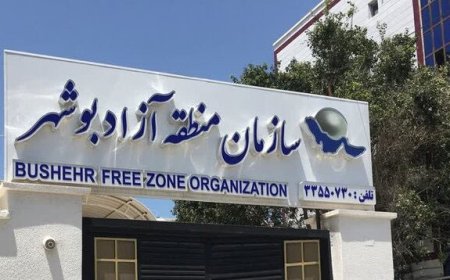 منطقه آزاد بوشهر همچنان در کما