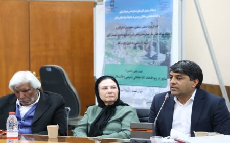 مدیرکل میراث فرهنگی فارس: اتفاق بزرگی در محور ساسانی فارس رقم خواهد خورد