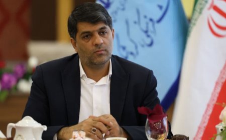 ثابت اقلیدی :  عکاسخانه مانی مرمت می شود؛ ثبت جهانی مساجد تاریخی فارس