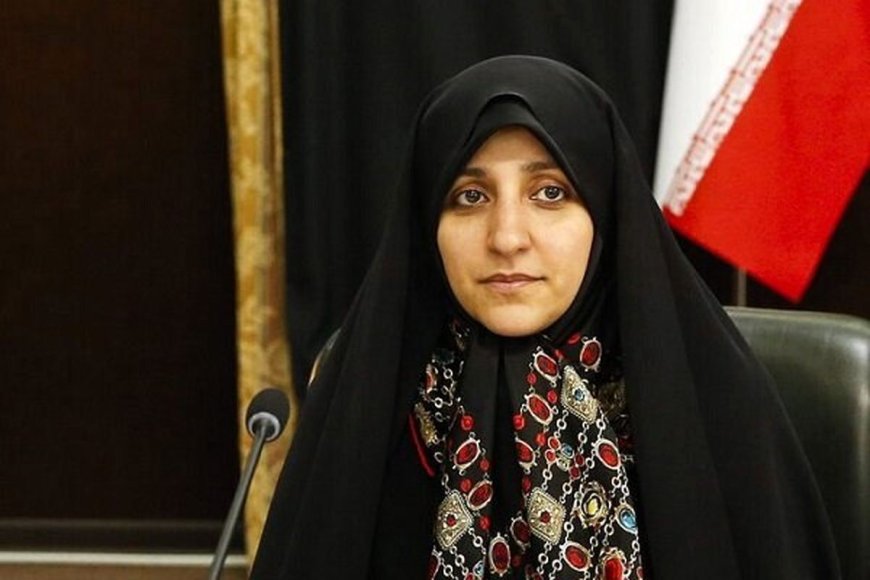 معاون رئیس‌جمهور در امور زنان و خانواده، مشکلات خوزستان را بررسی می‌کند