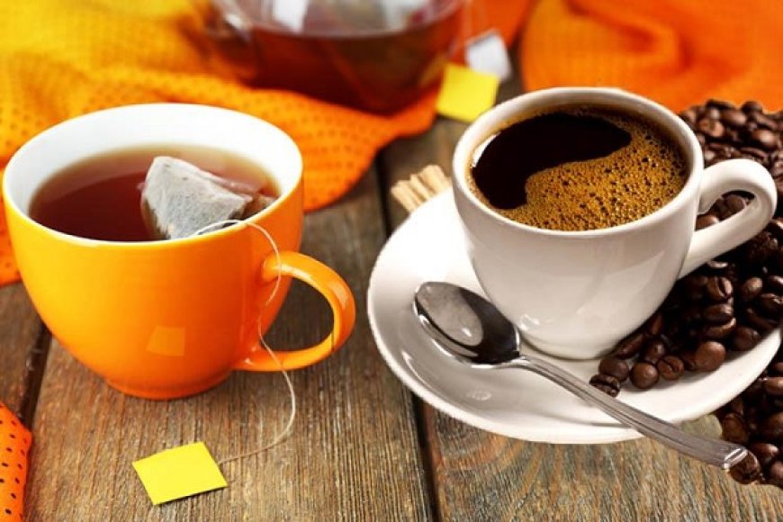 آغاز به کار نمایشگاه قهوه و دمنوش‌ها در فارس