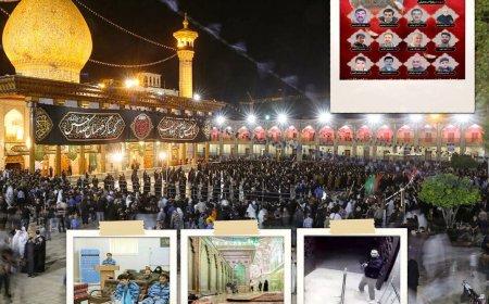 دادخواهی ۴۰۲ شهروند ایرانی از ۲ حادثه تروریستی در حرم شاهچراغ (ع)